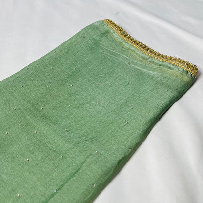 Soft Pastel Green Organza Suit | Handwork & Diamond Dupatta
